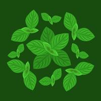 grön basilika växt vektor illustration för grafisk design och dekorativ element
