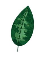 grüne Blätter Pflanzenblätter vektor