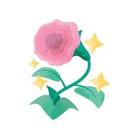 rosafarbene Blumenrose vektor