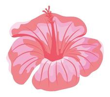 Blumen-Hibiskus-Symbol vektor