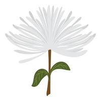 vit blomma ikon vektor