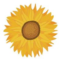 Sonnenblumen-Natur-Symbol vektor