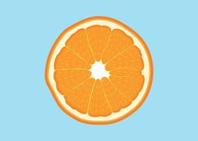orange citrus- frukt hand dragen realistisk stil vitamin c illustration. dela frukt begrepp. vektor