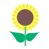 Cartoon-Sonnenblume mit grünen Blättern. isoliert auf weißem Hintergrund, flaches Design, Vektor, Illustration, eps10 vektor