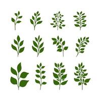 satz grüner silhouetten minimalistischer zweige, blätter für organische und öko-logos und -designs. Baumkunstdesign. isoliert auf weißem Hintergrund. vektor