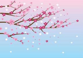 körsbär blomma fri vektor bakgrund