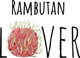 vattenfärg illustration av rambutan. färsk rå frukt. rambutan älskare illustration vektor