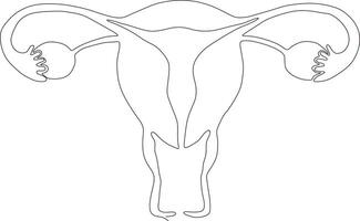 fortlaufende Kunstzeichnung der weiblichen reproduktiven Gebärmutter vektor