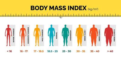 bmi klassificering Diagram mått man färgrik infographic med linjal. manlig kropp massa index skala samling från undervikt till övervikt passa. person annorlunda vikt nivå. vektor illustration