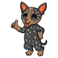 söt australier nötkreatur hund tecknad serie ger tumme upp vektor