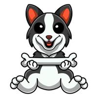 niedlicher Border-Collie-HundeCartoon, der einen Knochen hält vektor