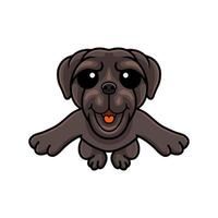 söt napolitanska mastiff hund tecknad serie Hoppar vektor
