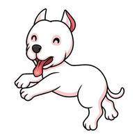 niedlicher dogo argentino hundecartoon vektor