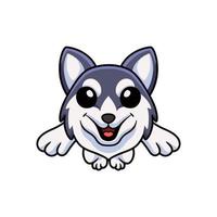 niedliches sibirisches husky-hundekarikaturspringen vektor