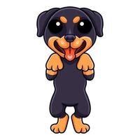 niedlicher kleiner rottweiler hundecartoon vektor