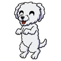 niedlicher bichon frise cartoon steht vektor