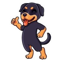 niedlicher kleiner rottweiler hundecartoon, der daumen aufgibt vektor