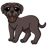 niedlicher neapolitanischer mastiff-hundecartoon vektor