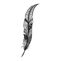 fjäder prydnad vektor illustration i svart och vit färger