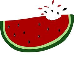 frisch und lecker Wassermelone vektor