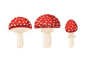 Pilz-Icon-Set. Amanita Muscaria Zeichensammlung. Vektor-Illustration von Fliegenpilz isoliert auf weißem Hintergrund vektor