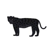 Vektor-Illustration des schwarzen Panthers auf weißem Hintergrund. große Katze. vektor