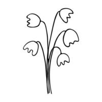 Maiglöckchen. Zweigblume im Doodle-Stil-Vektor vektor