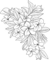 Blumenstrauß aus Frangipani-Blume handgezeichnete Bleistiftskizze Malseite und Buch für Erwachsene isoliert auf weißem Hintergrund Blumenelement-Tätowierung, Illustrationstintenkunst. vektor