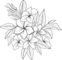 Frangipani-Blumenvektorkunst, tropische Blumenvektorillustration. Handzeichnung, Schwarz-Weiß-Skizze, isoliert auf weißem Hintergrund, Plumeria-Blumenstrauß, Strichzeichnungen, Vektorillustration. vektor