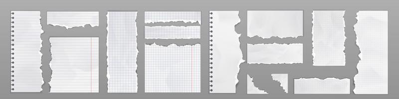 anteckningsbok sidor och papper ark med trasig kanter vektor
