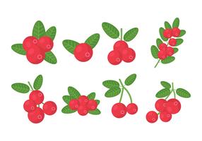 Gratis Cranberries Vector Collection