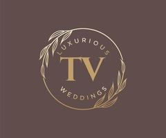 tv initialen brief hochzeit monogramm logos vorlage, handgezeichnete moderne minimalistische und florale vorlagen für einladungskarten, datum speichern, elegante identität. vektor