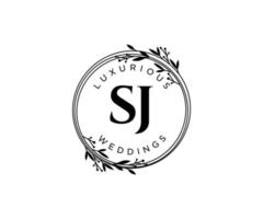 sj initialer brev bröllop monogram logotyper mall, hand dragen modern minimalistisk och blommig mallar för inbjudan kort, spara de datum, elegant identitet. vektor