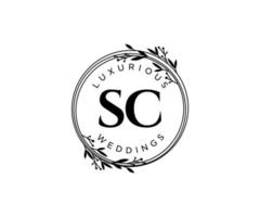 sc initials brief hochzeitsmonogramm logos vorlage, handgezeichnete moderne minimalistische und florale vorlagen für einladungskarten, save the date, elegante identität. vektor