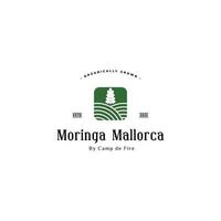 Moringa-Blatt-Logo-Design-Inspiration. Logo der Moringa-Plantage. vektor