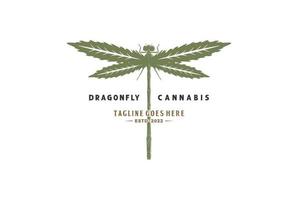 Vintage Libelle mit Cannabis-Marihuana-Ganja-Blatt für Hanf-CBD-Öl-Logo-Design vektor