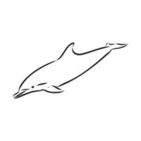delfin vektor skiss