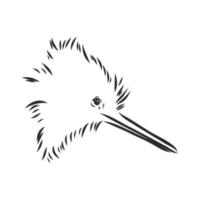 Kiwi-Vogel-Vektorskizze vektor