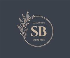 sb Initialen Brief Hochzeit Monogramm Logos Vorlage, handgezeichnete moderne minimalistische und florale Vorlagen für Einladungskarten, Datum speichern, elegante Identität. vektor