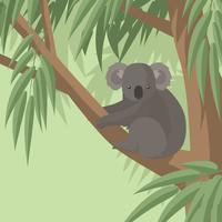 Koala im Gummi-Baum-freien Vektor