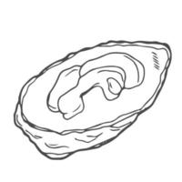 hand dragen ostron sammansättning. skaldjur skiss stil illustration. färsk marin mollusker i öppnad skal. vektor