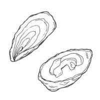 hand dragen vektor samling av illustrationer av musslor, musslor, ostron