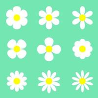 vektor illustration samling uppsättning daisy blommor vår grön bakgrund, vacker kamomill blomma isolerat