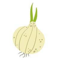 Zwiebel im Doodle-Stil. pflanzliche Nahrung und Ernte. eine einfache Zeichnung. würzige Lauchzwiebel. flache karikatur lokalisiert auf weiß vektor