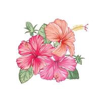 vektorroter hibiskus-blumenstrauß.illustration von tropischen blumen, natürliche schönheit. vektor