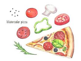 handgezeichnete pizza und zutaten, aquarellillustration vektor