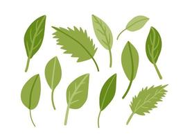 kritzeln Sie verschiedene Arten von Blättern. handgezeichnete gekritzelblätter gesetzt. Cartoon-Aufkleber, Gartendekoration. vektor
