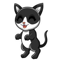 niedlicher Katzen-Cartoon des schwarzen Rauchs vektor