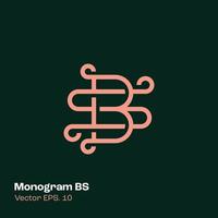 monogram logotyp bs vektor