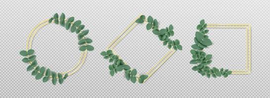 gyllene ramar med eukalyptus löv isolerat uppsättning vektor